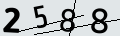 verifycode
